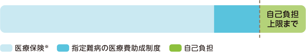 窓口での支払い金額が自己負担を超えた場合